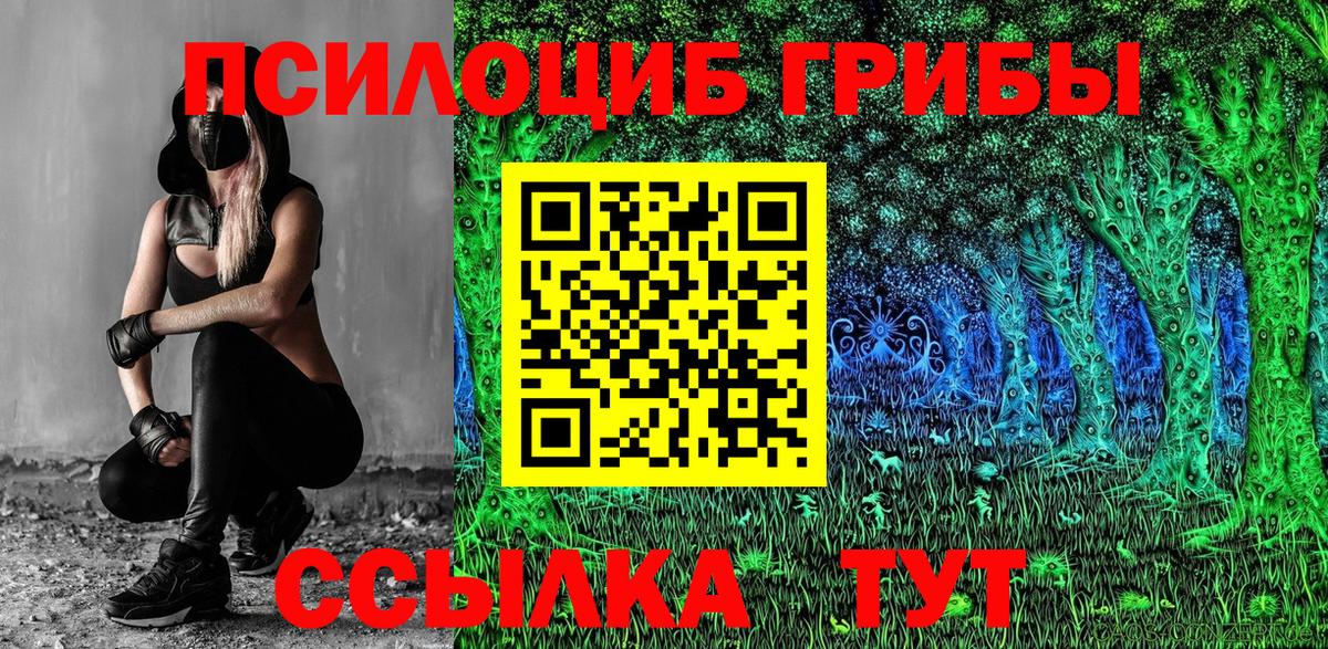 продажа наркотиков  Вход с VPN  Кузнецк  Псилоцибиновые грибы Psilocybe 