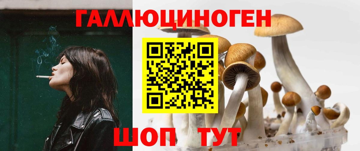 Галлюциногенные грибы ЛСД Кузнецк